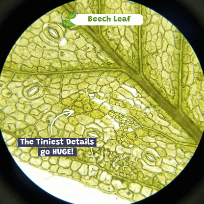 Miniscope™ Kids Microscope